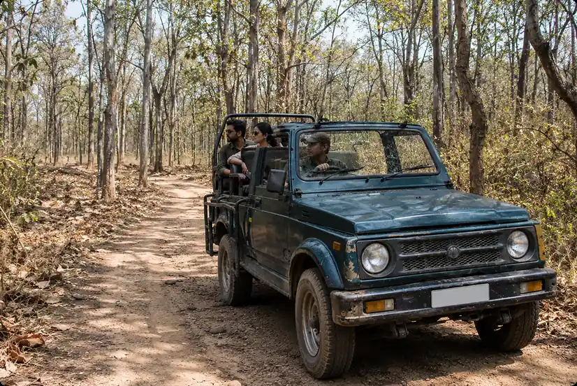 Gypsy Safari